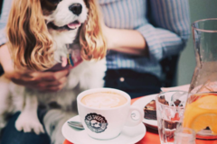 Book a table: Black Sheep Coffee Paddington | Freelancers you're welcome!