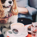 Book a table: Black Sheep Coffee Paddington | Freelancers you're welcome!