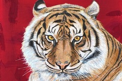 Sell Artworks: Tiger