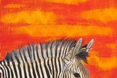 Sell Artworks: Zebra