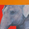 Sell Artworks: Elephant calf