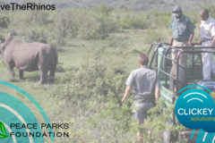  : CLICKEY solutions | Protect the Rhinos!