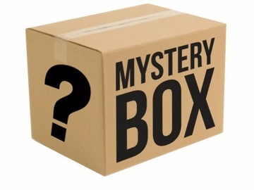 Liquidation/Wholesale Lot: General Merchandise Mystery Box