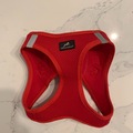 FREE: Red Dog Harness - M