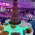 Request Quote: Chocolate Fountain LED Setup