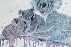 Sell Artworks: Koala Cuddles