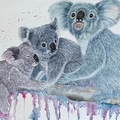 Sell Artworks: Koala Cuddles