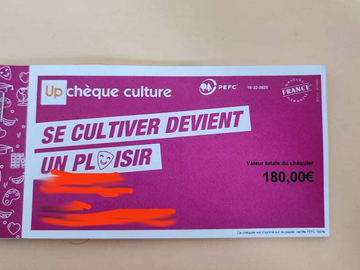 Vente: Chèques Culture Up (180€)
