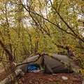 Renting out (per day): Fjällräven Abisko Shape 2 teltta
