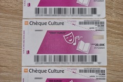 Vente: Chèques Culture Up (50€)