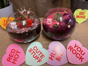 Events priced per-person: Valentine´s Mini Living Worlds: Succulents and Moss Terrariums