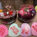 Events priced per-person: Valentine's Mini Living Worlds: Succulents Terrariums