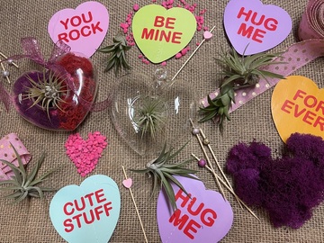 Events priced per-person: Valentine´s Moss Heart Workshop with Air Plants