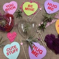 Events priced per-person: Valentine´s Moss Heart Workshop with Air Plants
