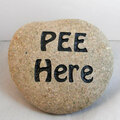 Selling: PEE HERE engraved rock for all the males in your house