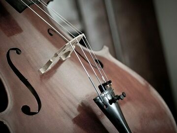Hourly Services: Freelance Cellist