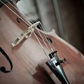Hourly Services: Freelance Cellist