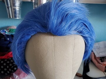 Selling with online payment: Blue wig