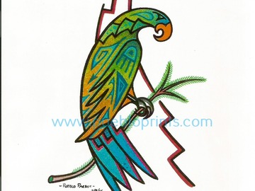 Selling: Pueblo Parrot aquamarine  11x14 inches - signed & matted