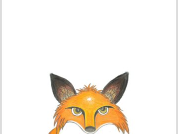 Selling: PCMS Fox Art Note Card Set- Color 