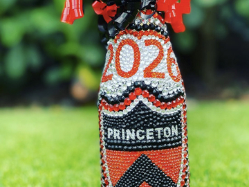 Selling A Singular Item: Princeton University
