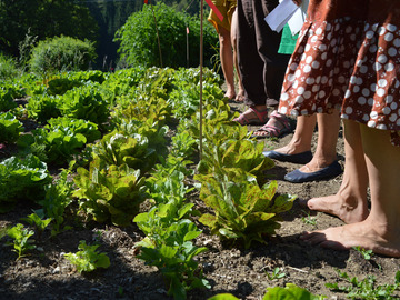 Workshop offering (dates): Permaculture Design Course in 4 Modulen