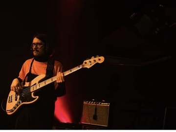 Online Lessons: Bass Lessons - All Levels / Ages / Genres 