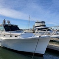 Offering: Luxury Mainship 30 Motoryacht