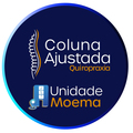 Consulta no consultório: Clinica de Quiropraxia - Coluna Ajustada