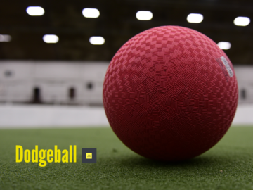 Eigene Preiseinheit: It's Dogdeballtime - Völkerball Meet up