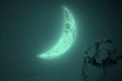 Selling: NEW MOON MANIFESTATION