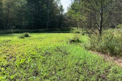 Land Available for Lease: Newaygo County 
