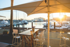 Book a table | Free: Come and work remotely at the marina for the best space in town