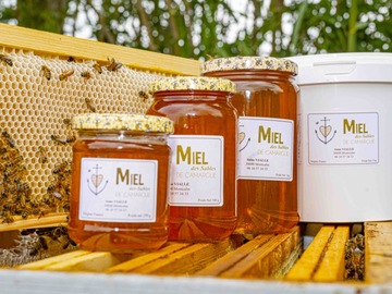Les miels : MIEL des Sables de CAMARGUE 1KG