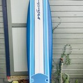 For Rent: Brand New 8ft Wavestorm Soft Top Longboard