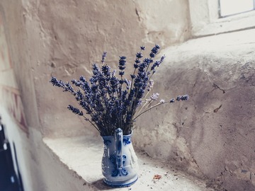 Zu Verschenken: Keramik Vase zu verschenken