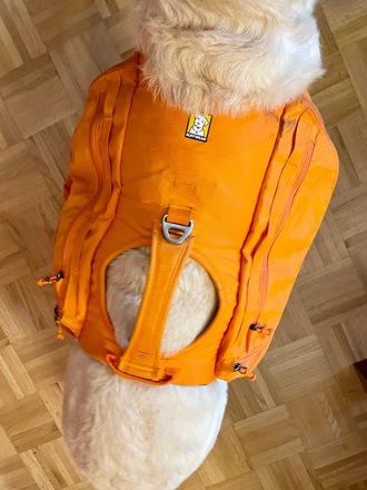 Koiran reppu Ruffwear Approach Pack