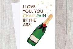  : Funny Sarcastic I Love You Champaign Card for Him/ Her
