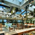 Walk-in: Have a wonderful working spot at Rooftop