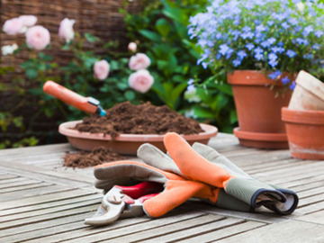 NOS JARDINS A PARTAGER: Recherche partager entretien et apprendre jardinage