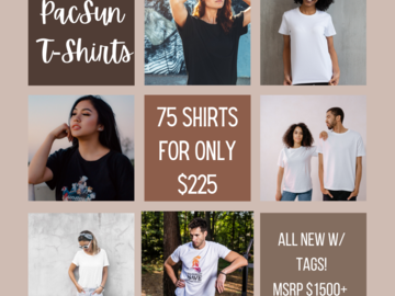 Liquidation/Wholesale Lot: PacSun T-Shirts New With Tags 75 Shirts For $225! MSRP $1800+