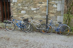 À vendre: Lot de 3 vélos 