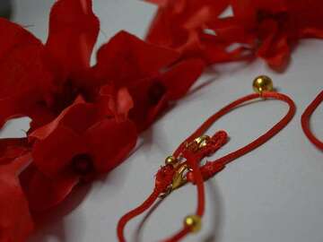 Selling with online payment: Aerith Gainsborough red Dress