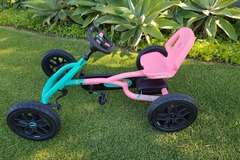 Daily Rate: Age 3-8 - Kids Adventures Just Got Better - Berg Buddy Pedal Kart