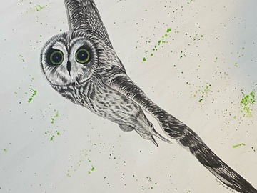 Sell Artworks: Crash Landing - An Owl With No Brakes