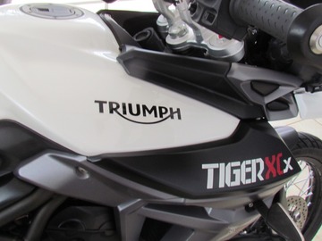 De locadora para motociclista: Triumph Tiger - XCX- 800cc - Brasília - DF