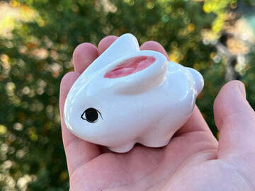 Post Now: Bunny Pipe