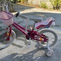 Selling with online payment: Young Girl Bike