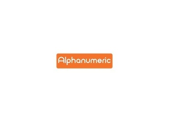Renting out: Alphanumeric Agency - SEO Company in USA