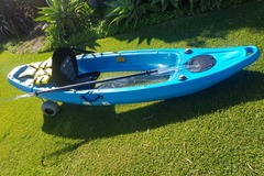 Daily Rate: See all of Geographe Bay's Sea Life by Glass Bottom Kayak!